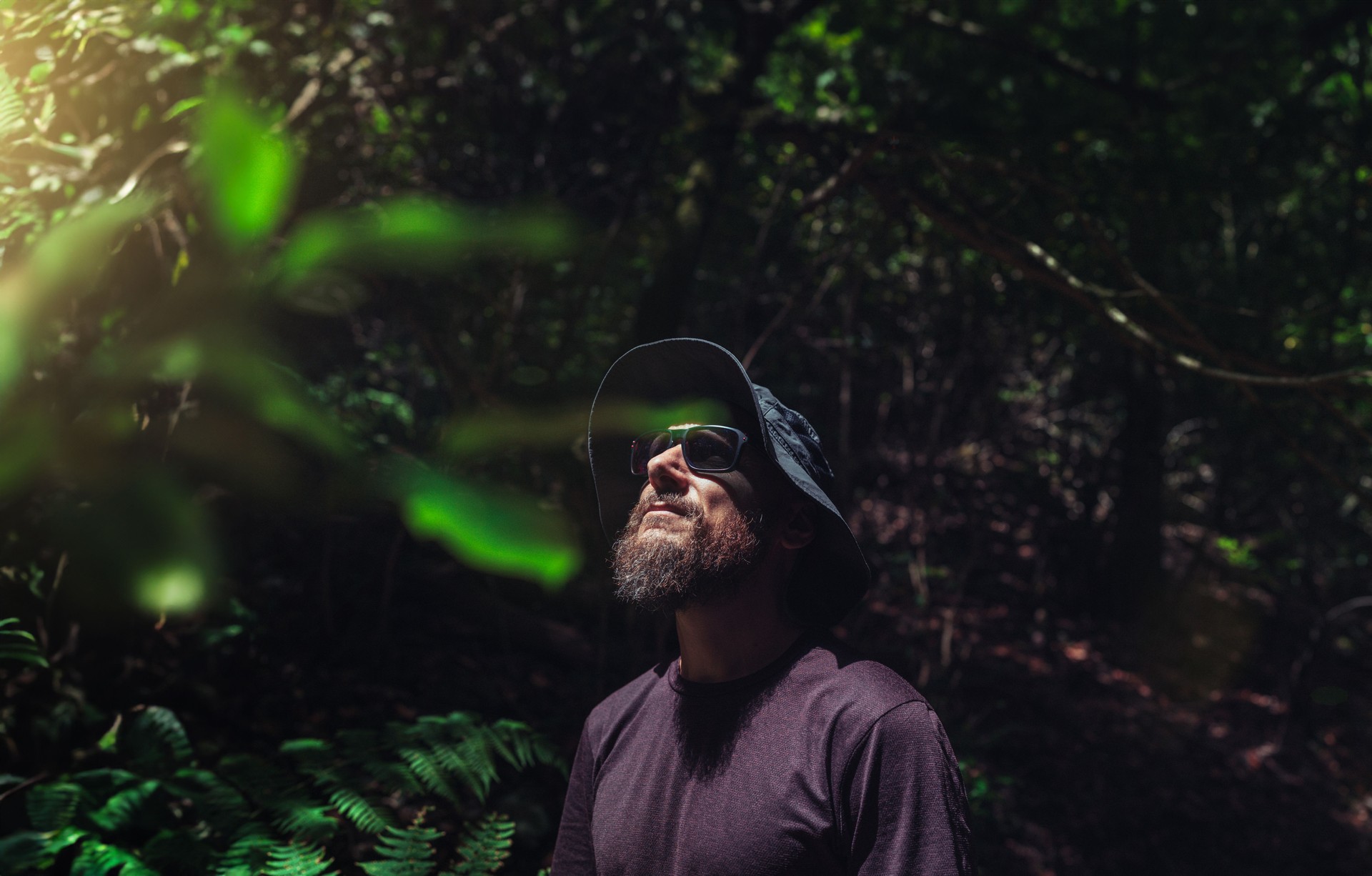 Man exploring the laurel forest of Anaga in Tenerife